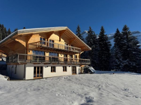 Luxury apartment in Les Diablerets